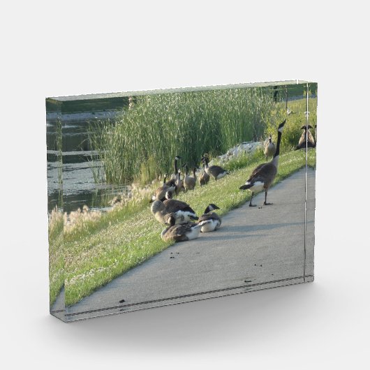 Goose Fotoblokken (Links)