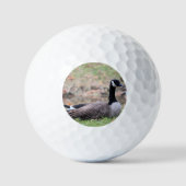 Goose Golfballen (Voorkant)