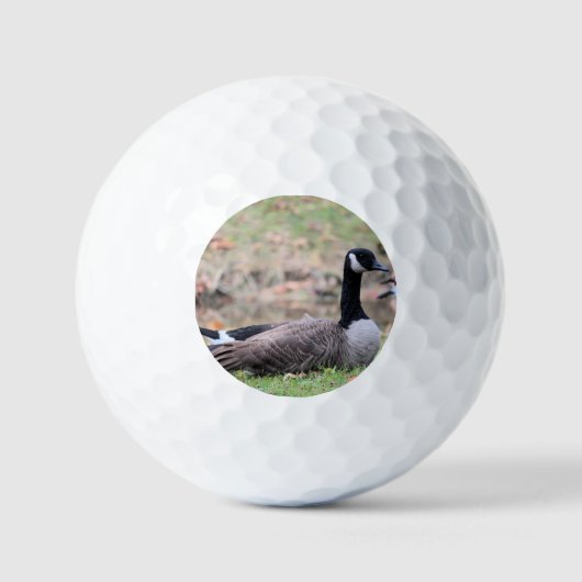 Goose Golfballen (Voorkant)