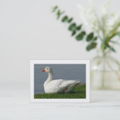 Goose (Gorderachtig) Visitekaartje (Staand voorkant)