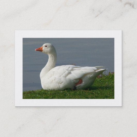 Goose (Gorderachtig) Visitekaartje (Voorkant)