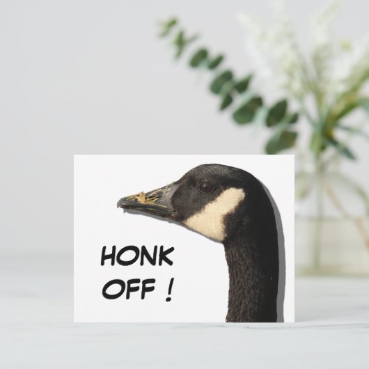 Goose Head Briefkaart (Staand voorkant)