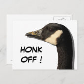 Goose Head Briefkaart (Voorkant / Achterkant)