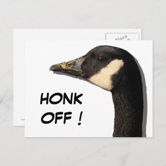 Goose Head Briefkaart (Voorkant / Achterkant)