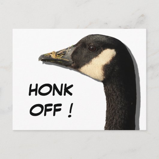 Goose Head Briefkaart (Voorkant)