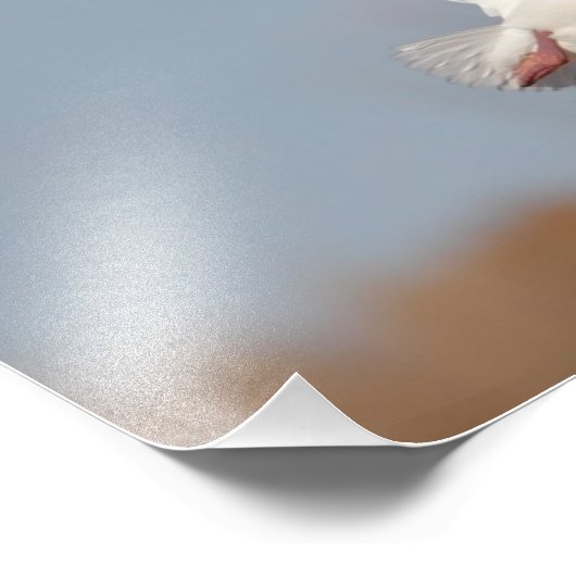 Goose high in de hemel foto afdruk (Hoek)