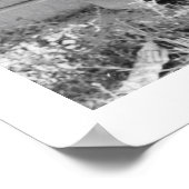 Goose Hunting Klamath Herfsten, Oregon Poster (Hoek)