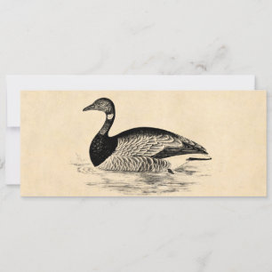 Goose Illustration - 1800 ganzen Sjabloon