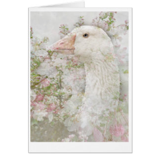 Goose in Blossom