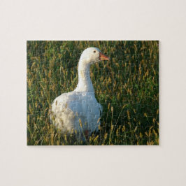 Goose in de Grass bij de Zonnetijd Legpuzzel