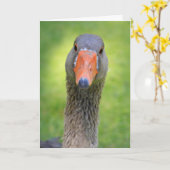 Goose in de zonneschijndag kaart (Gele Bloem)