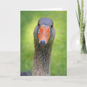 Goose in de zonneschijndag kaart