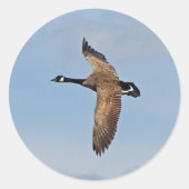 Goose in Flight Ronde Sticker (Voorkant)