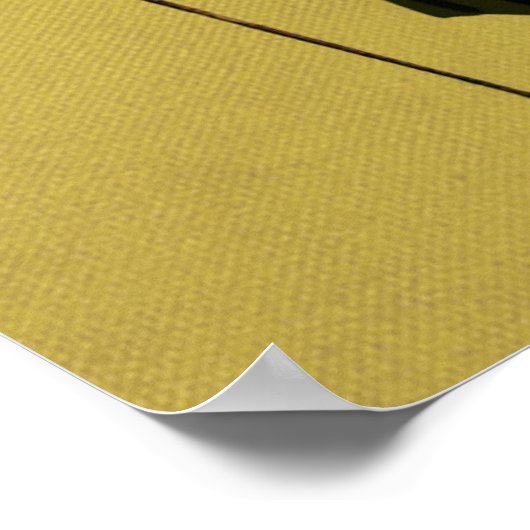 Goose in Green Regency Coat Poster (Hoek)