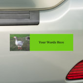 Goose in het park bumpersticker (Op auto)