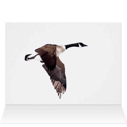 Goose in vlucht (Binnen Horizontaal (Boven))