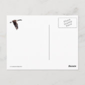 Goose in vlucht briefkaart (Achterkant)