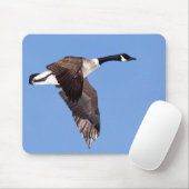Goose in vlucht muismat (Met muis)