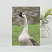 Goose Kaart (Staand voorkant)