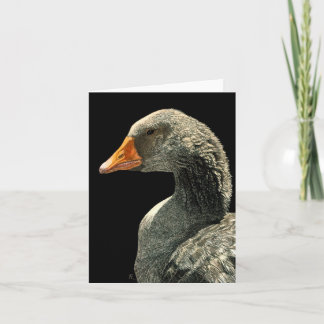 Goose Kaart - "Lucy"
