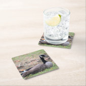 Goose Kartonnen Onderzetters (Insitu)