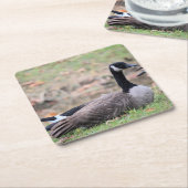 Goose Kartonnen Onderzetters (Schuin)