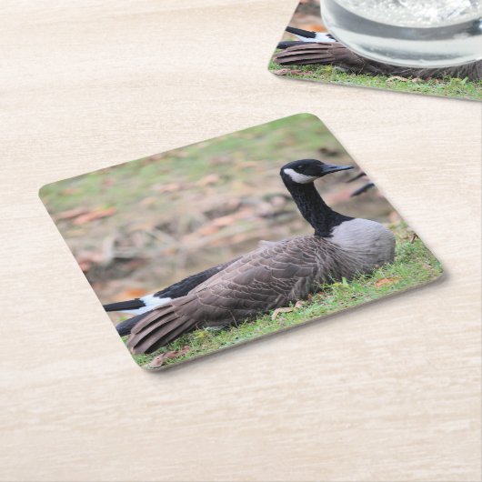 Goose Kartonnen Onderzetters (Schuin)