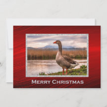  Goose Landschap Foto Kerst Flat