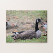Goose Legpuzzel (Horizontaal)