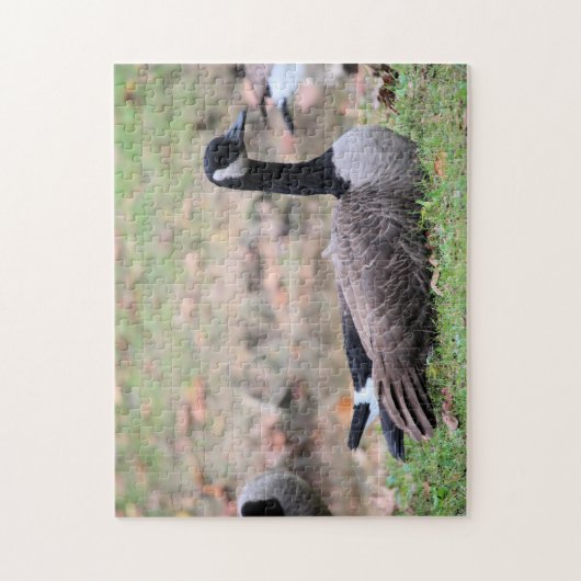 Goose Legpuzzel (Verticaal)