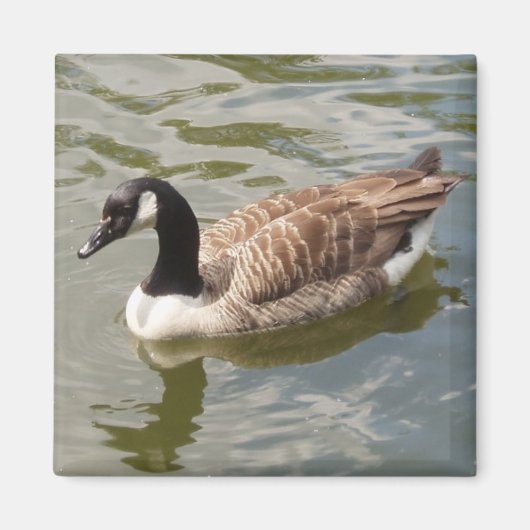 Goose Magnet (Voorkant)