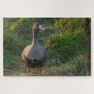 Goose met witte vleugels legpuzzel