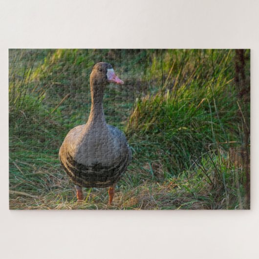 Goose met witte vleugels legpuzzel (Horizontaal)