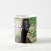 Goose Morning Mok (Center)