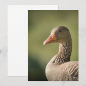 Goose Natuur-fotokaart Save The Date (Voorkant / Achterkant)