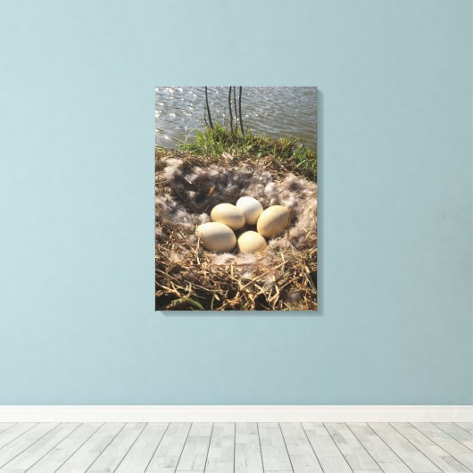 Goose Nest with Eggs op Canvas (Insitu (Houten vloer))