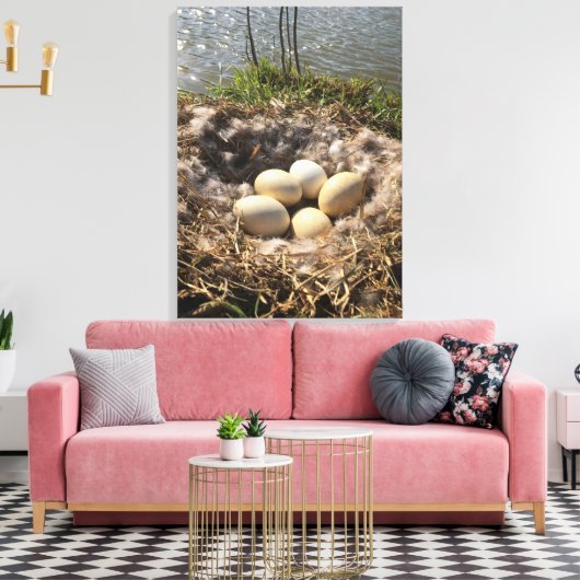 Goose Nest with Eggs op Canvas (Insitu (Woonkamer))