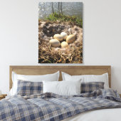 Goose Nest with Eggs op Canvas (Insitu (Slaapkamer))