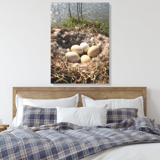 Goose Nest with Eggs op Canvas (Insitu (Slaapkamer))
