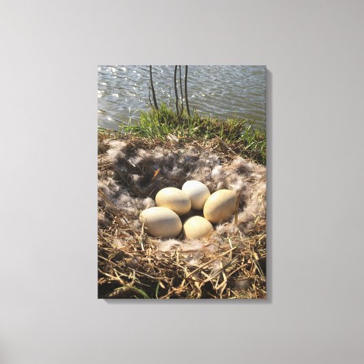 Goose Nest with Eggs op Canvas (Voorkant)