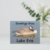 Goose op Lake Erie Briefkaart (Staand voorkant)
