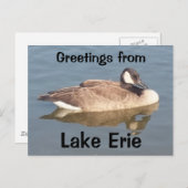 Goose op Lake Erie Briefkaart (Voorkant / Achterkant)