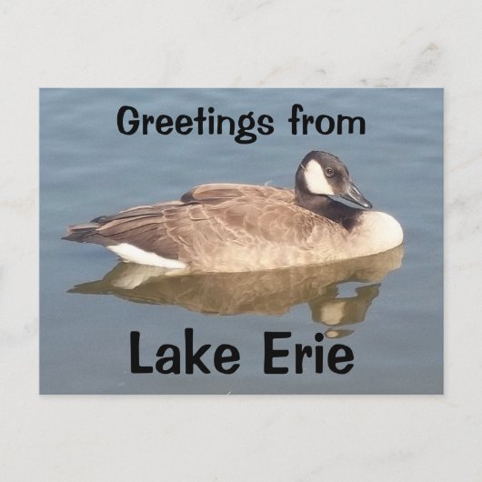 Goose op Lake Erie Briefkaart (Voorkant)