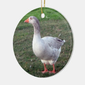 Goose ornament (Links)