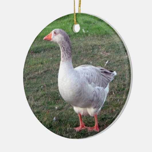 Goose ornament (Links)