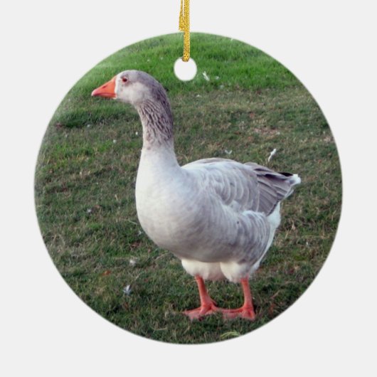 Goose ornament (Achterkant)