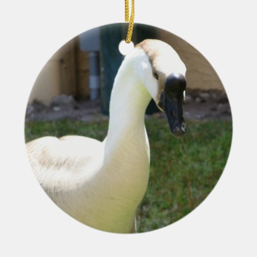 Goose Ornament (Voorkant)