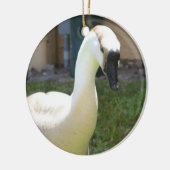 Goose Ornament (Links)
