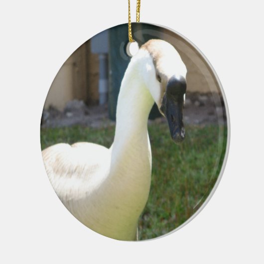Goose Ornament (Links)