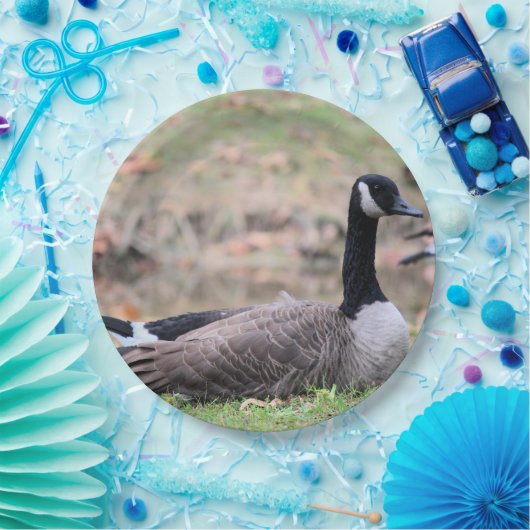 Goose Papieren Bordje (Feest)